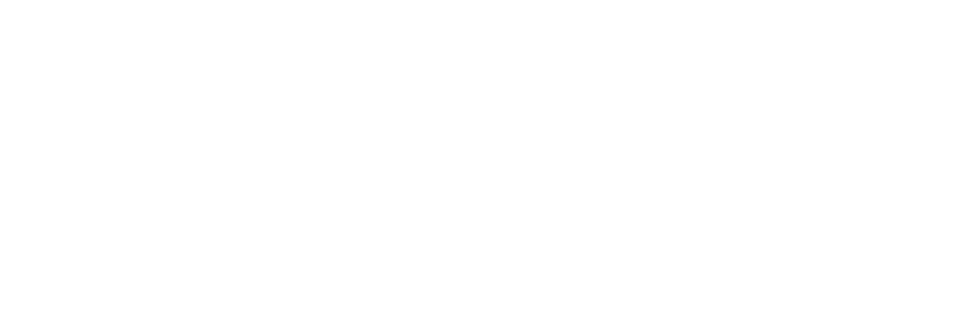 �Z�����g�̎����𐶂����ꖇ�Ƃ��ē������̂��Ȃ��f�� SOLIDO