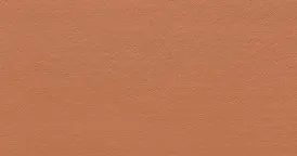 �f�C�W�[ �`�^�� �I�����W�i11�j