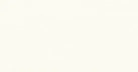 �j���[ �`�^�� �z���C�g�i2