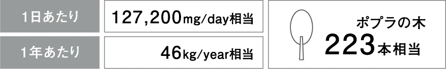 ���q�\���}