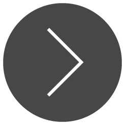 NEW PRODUCTS | 2020�N�V���i