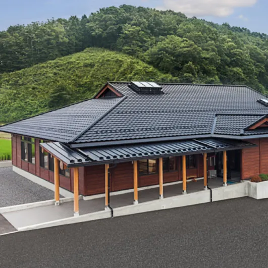 �{�H����CONSTRUCTION EXAMPLES