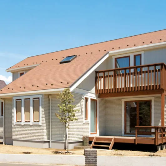 �{�H����CONSTRUCTION EXAMPLES