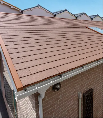 NEW PRODUCTS | 2020�N�V���i