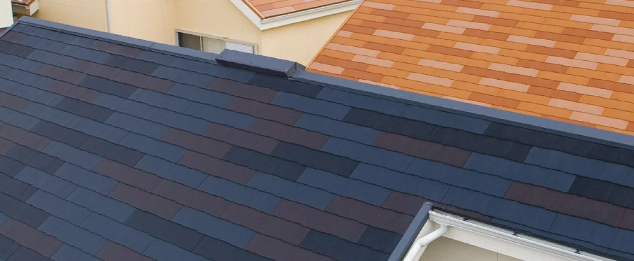 NEW PRODUCTS | 2020�N�V���i