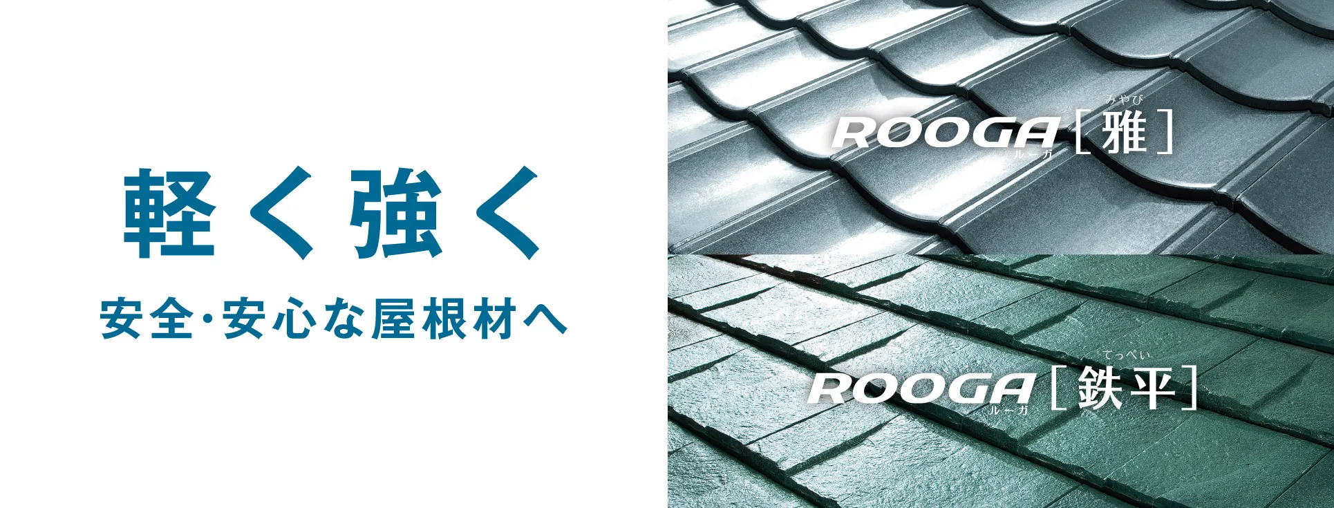 NEW PRODUCTS | 2020�N�V���i