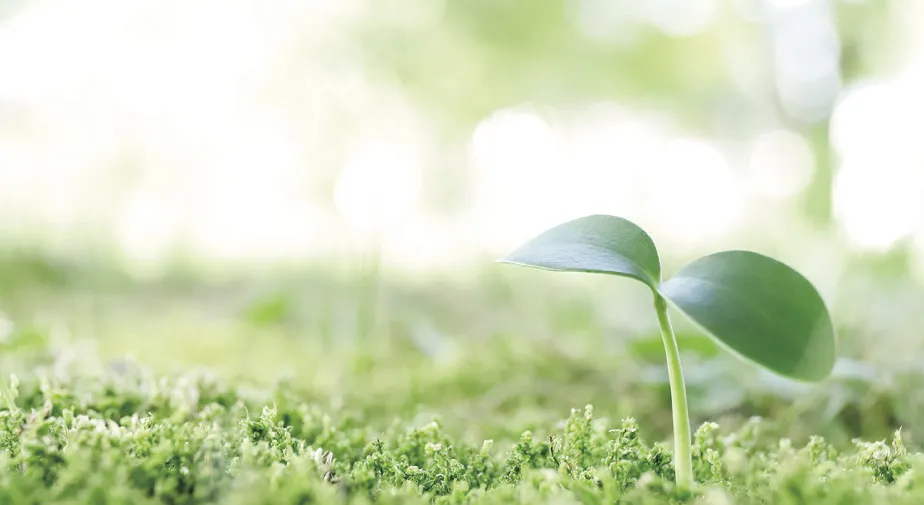 �n�����ɗD�������i�Â���ɓw�߂܂��B