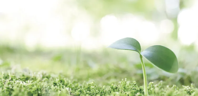 �n�����ɗD�������i�Â���ɓw�߂܂��B