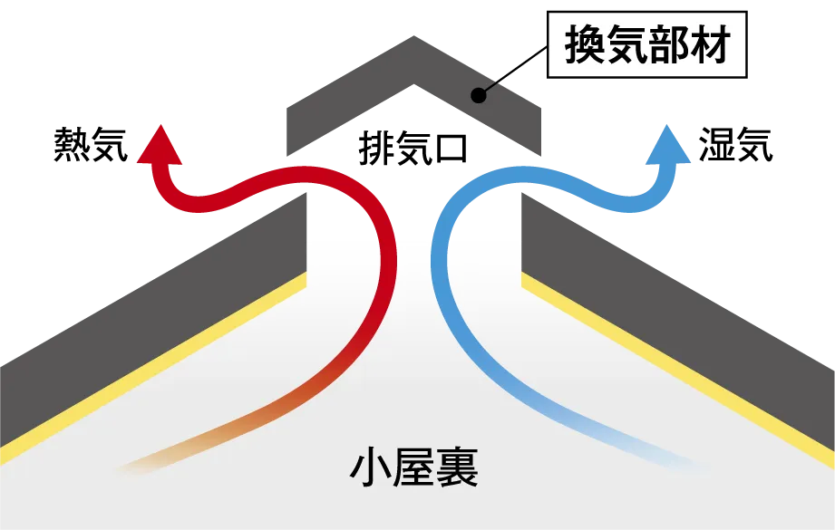 ���C���ނ̋@�\